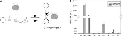 A Synthetic Riboswitch to Regulate Haloarchaeal Gene Expression